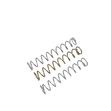 DPM Recoil System For Glock models: 43 - 43X & 48 | Set Spare External Springs  DPM Recoil System For Glock models: 43 - 43X & 48 | Set Spare External Springs
